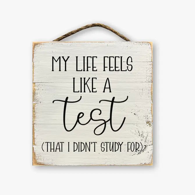 My Life Feels Like A Test That I Didn't Study For